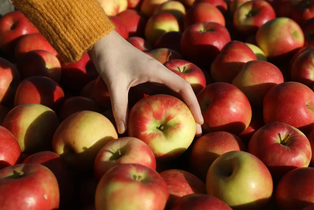 honeycrisp apple nutrition